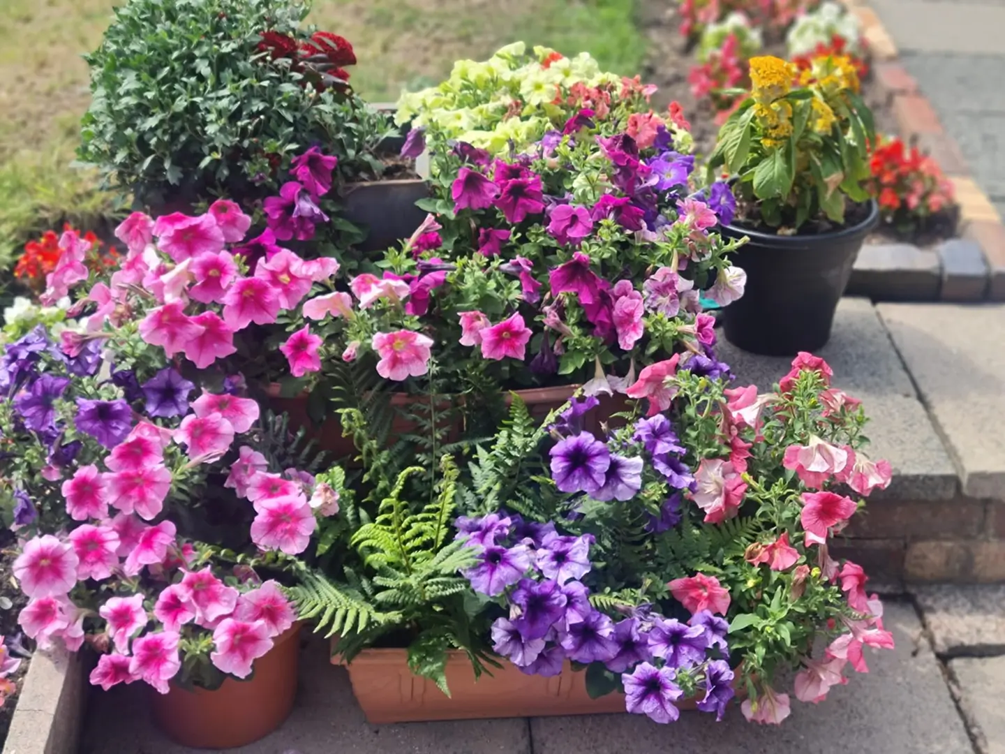 Interior Design & Space Planning